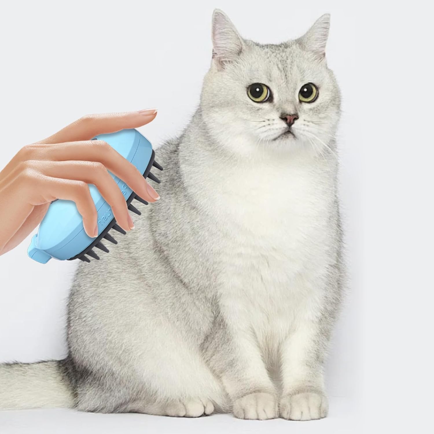 Discover the Steamy 3-in-1 Whale-Shaped Cat Steam Brush