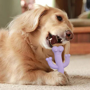 Cactus Puppy Chew Toy: The Ultimate Playtime Companion