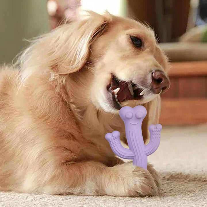 Cactus Puppy Chew Toy: The Ultimate Playtime Companion