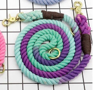 Discover the Perfect Leash for Your Furry Friend