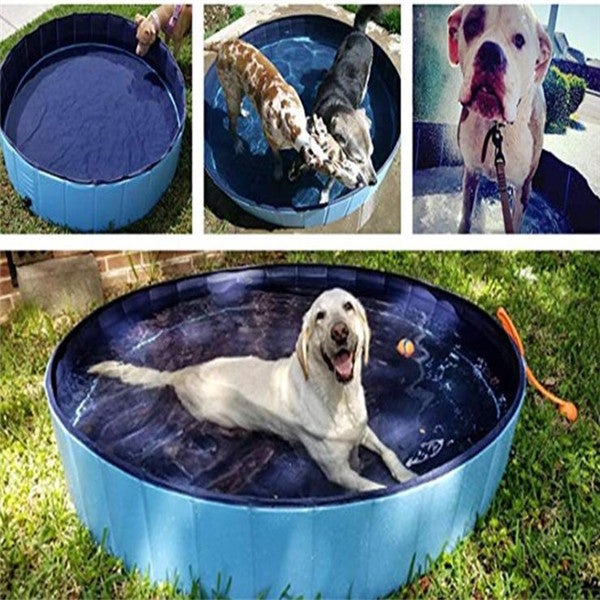 Make a Splash This Summer with Our Pet Pool!