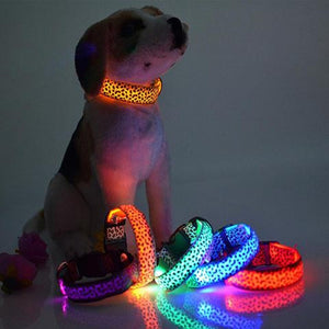 Illuminate Your Dog's Safety with the LED Dog Collar
