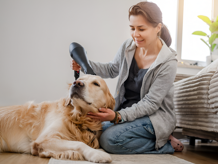 Essential Grooming Tips for Pets