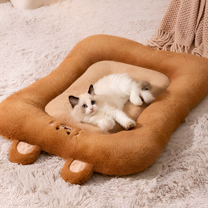 Choosing the Perfect Pet Bed