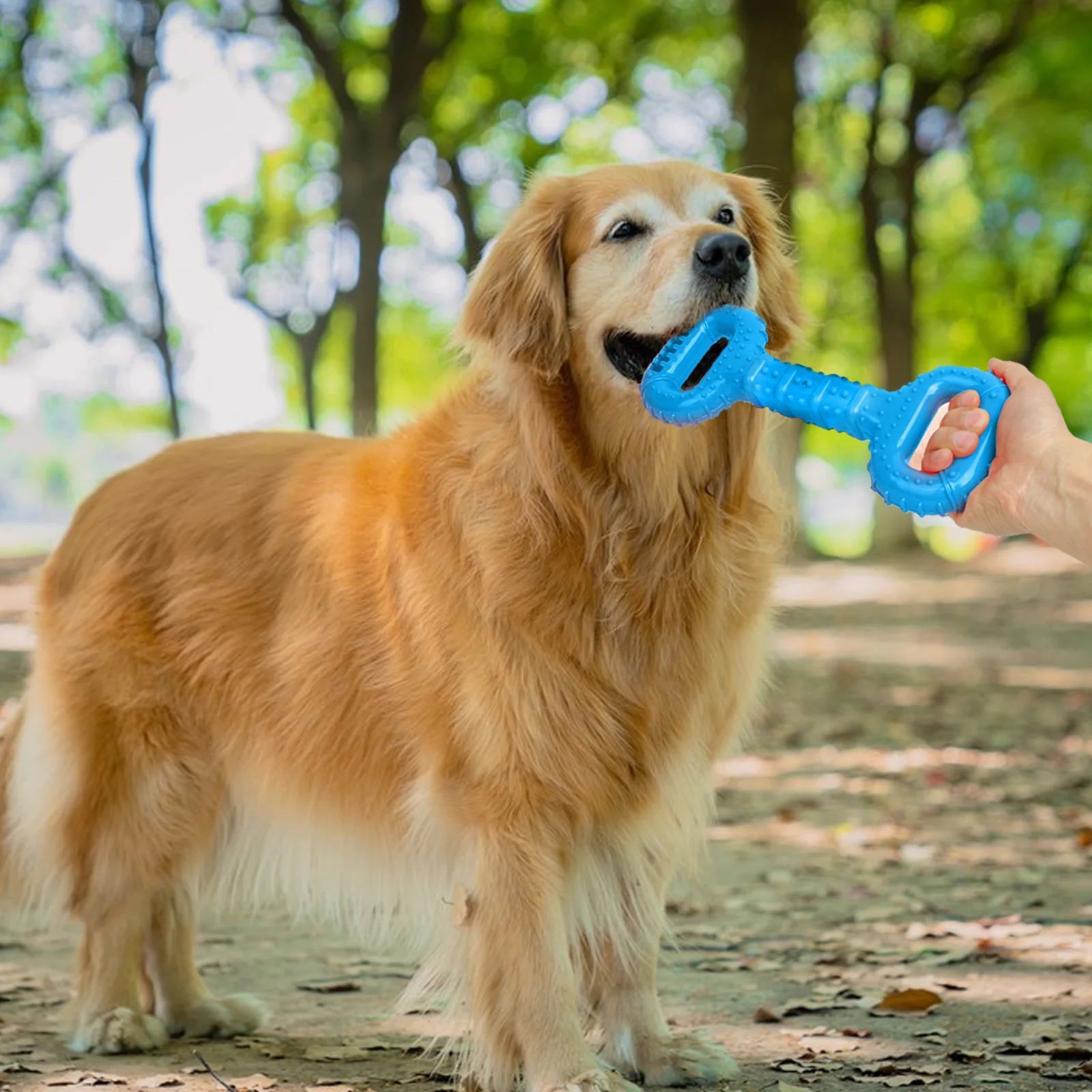Dog Bone Toys For Aggressive Chewers