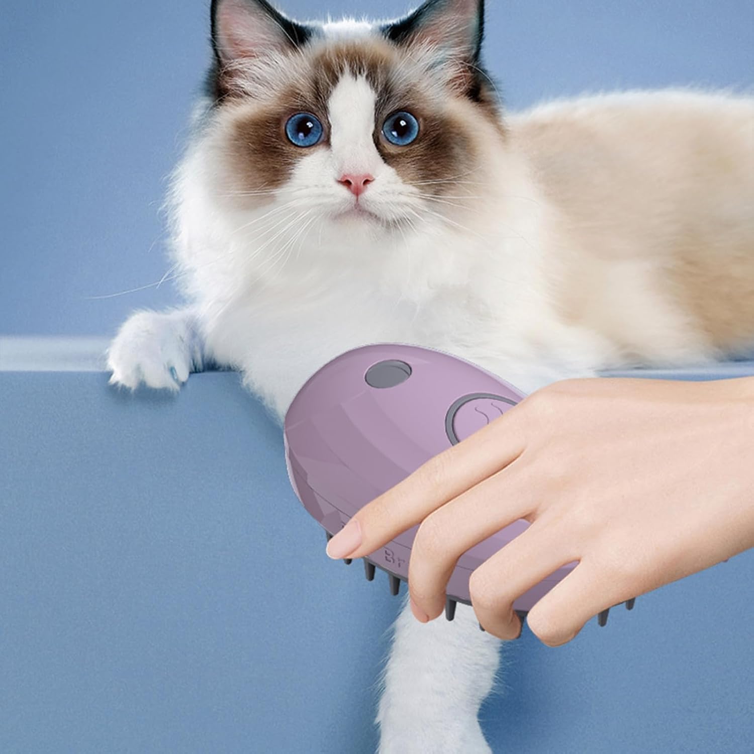 Steamy 3-in-1 Whale-Shaped Cat Steam Brush