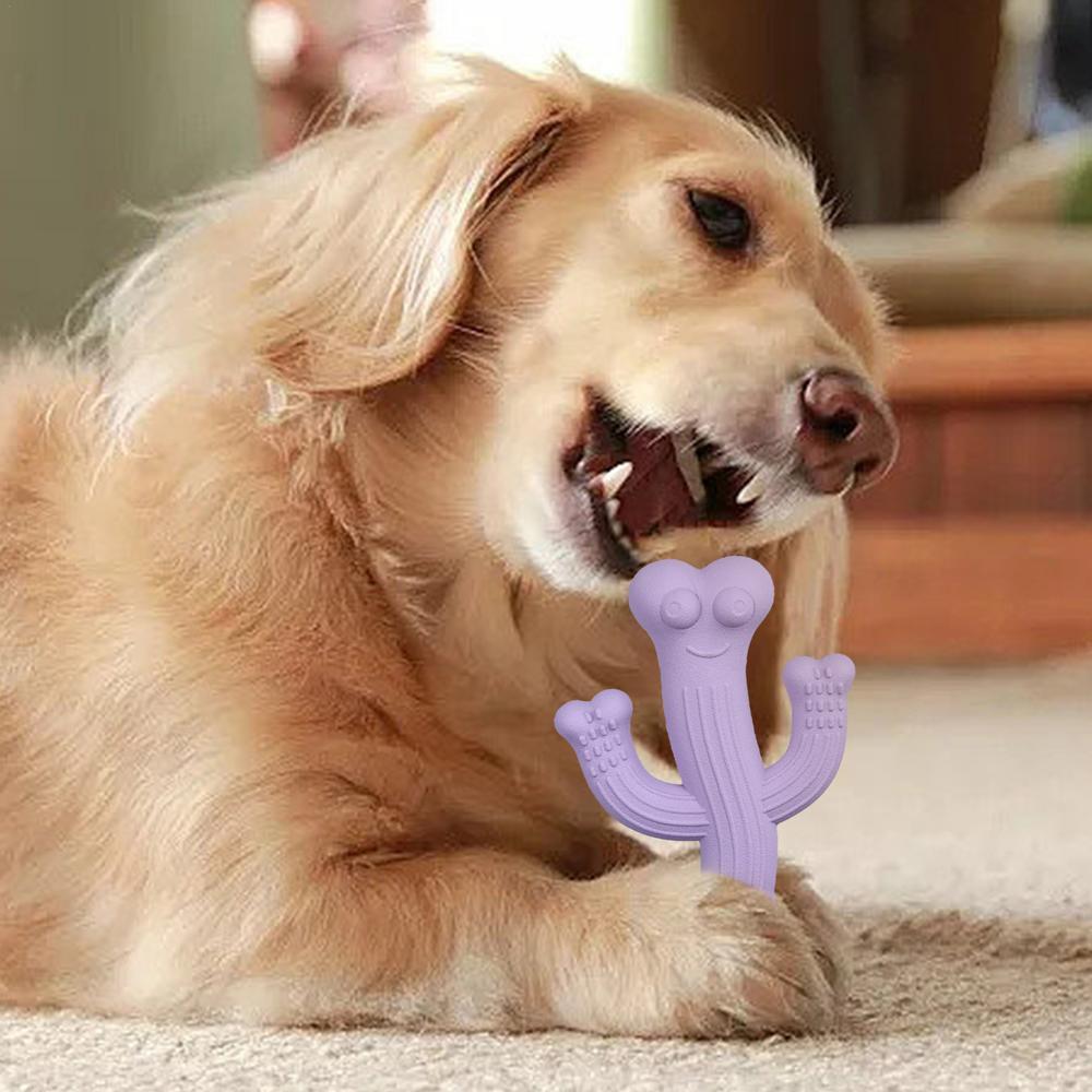 Cactus Puppy Chew Toy