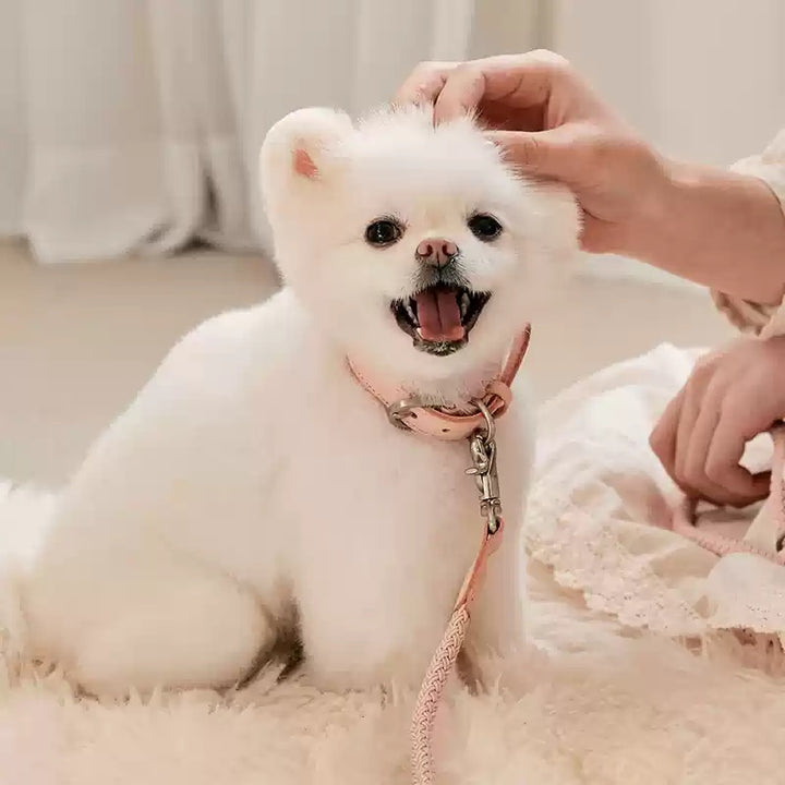 Leather Hand Holding Rope Leash