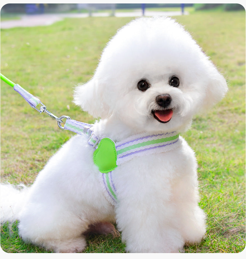 Summer Breathable Walking Dog Leash
