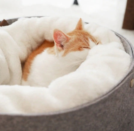Soft Plush Pet Bed