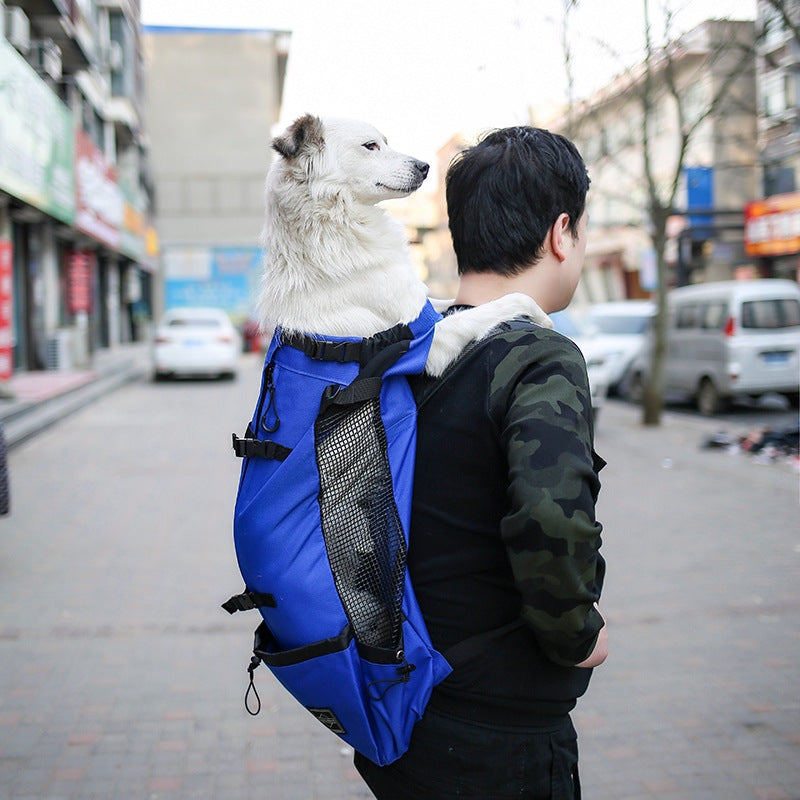 Portable Travel Pet Carrier Backpack