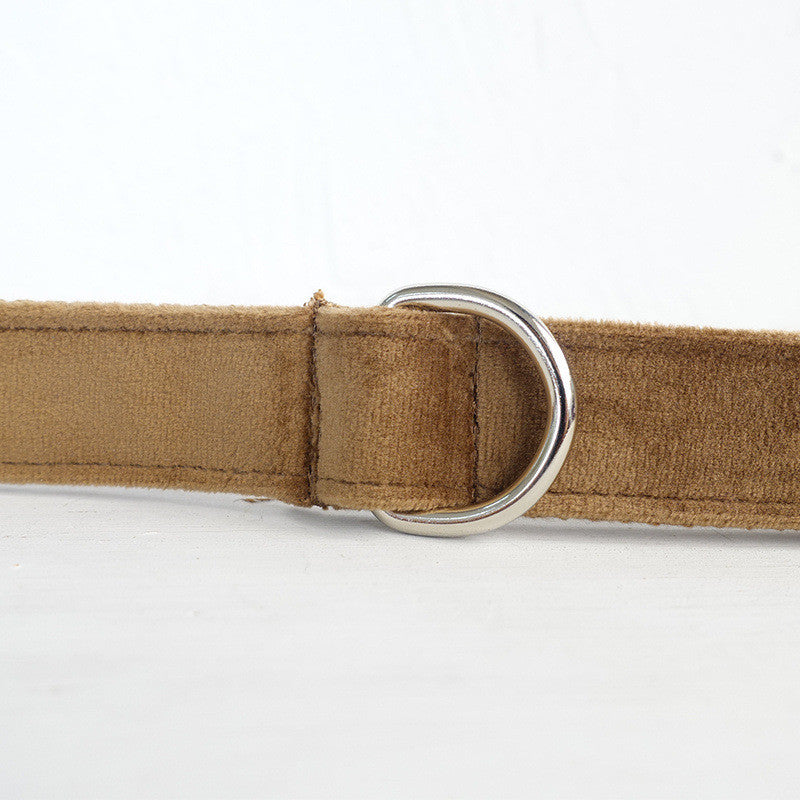 Pet dog ring leash