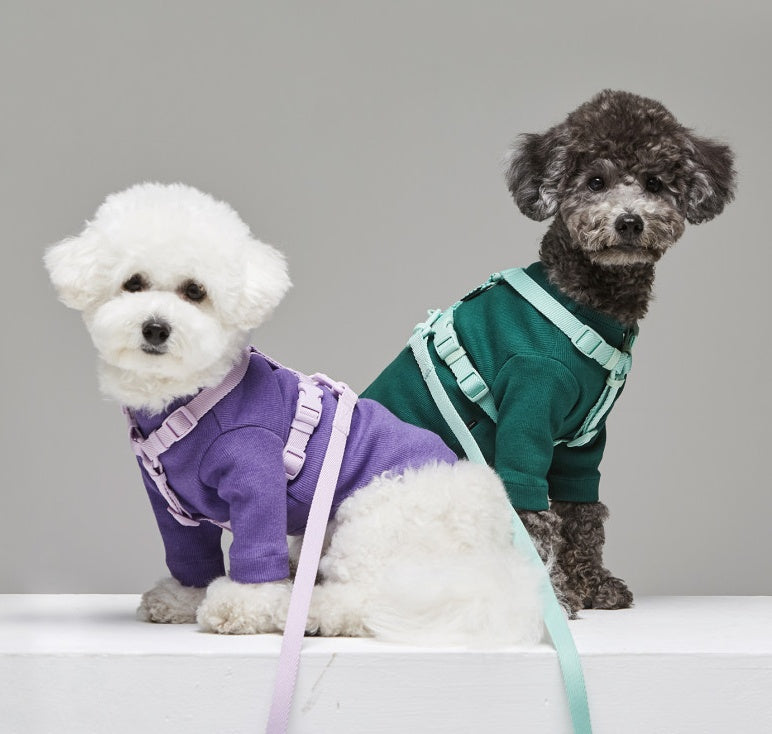 Pet Leash Macaron Wind