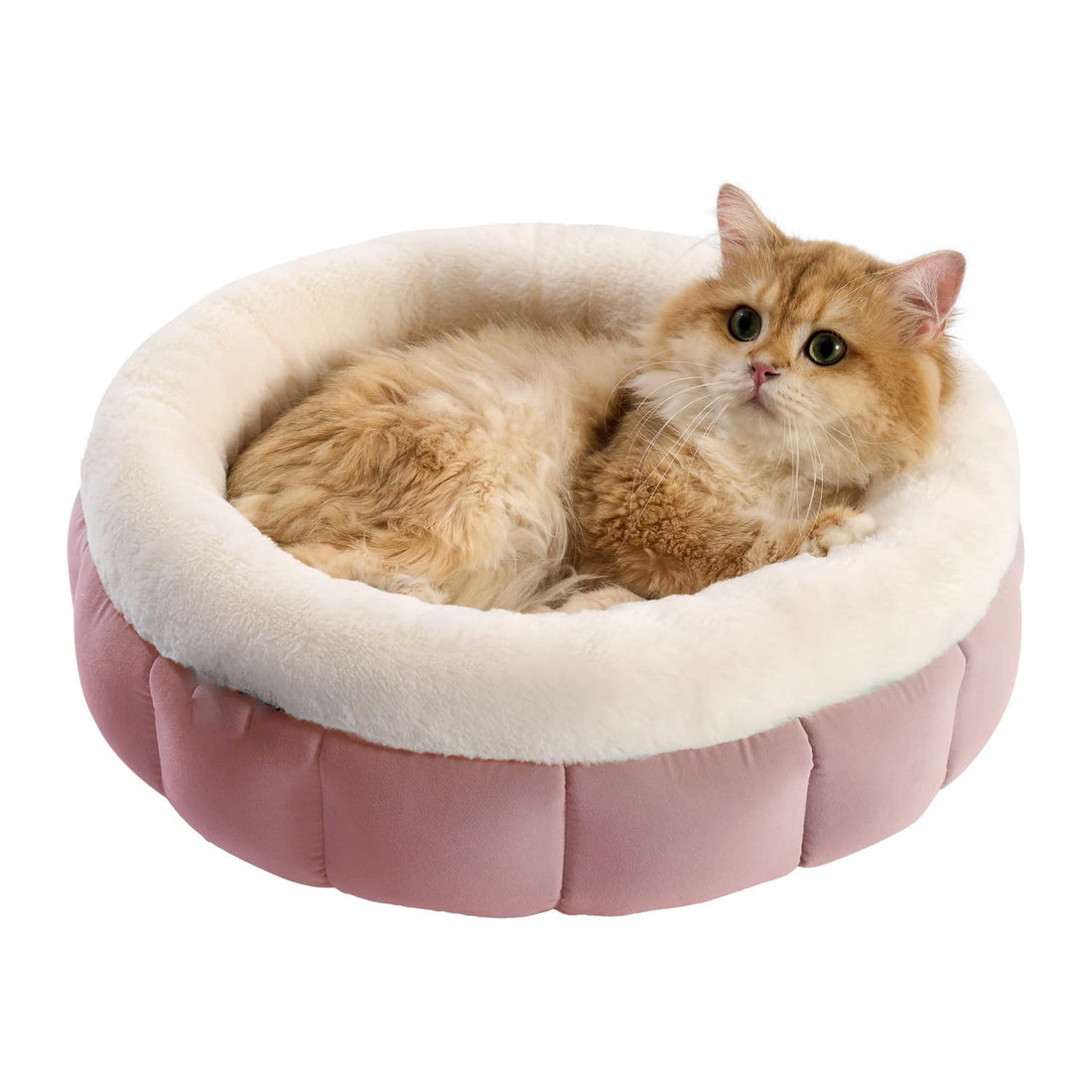 Donut Washable Pet Bed