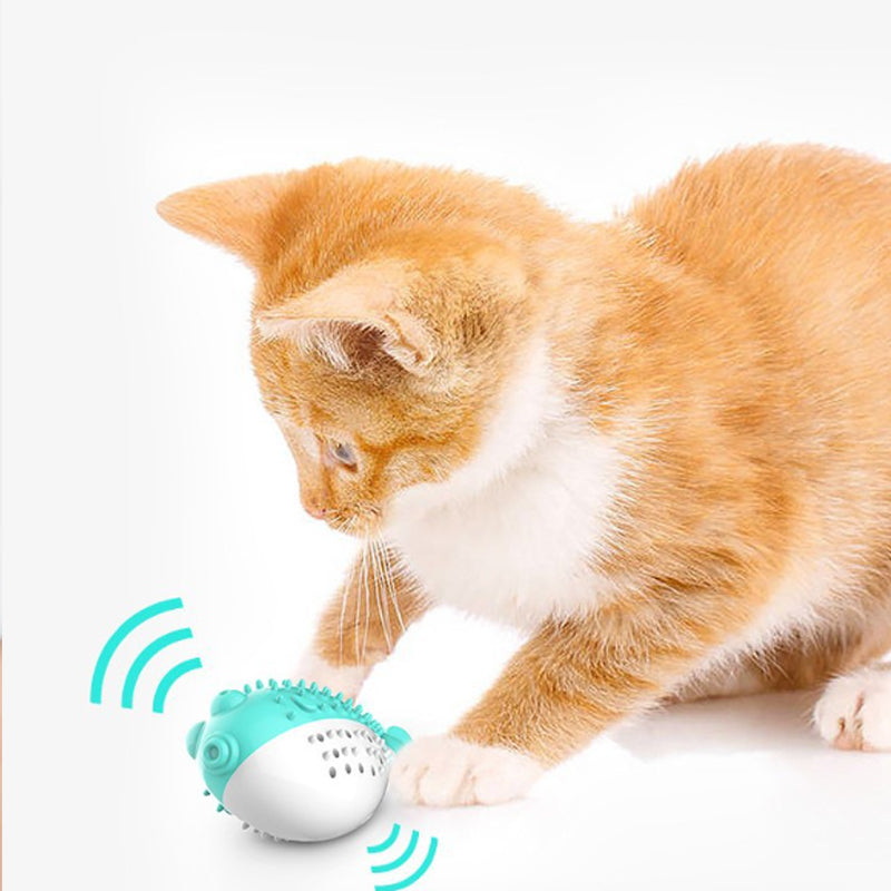 Mint Grabbing Chew Toys Pet Supplies