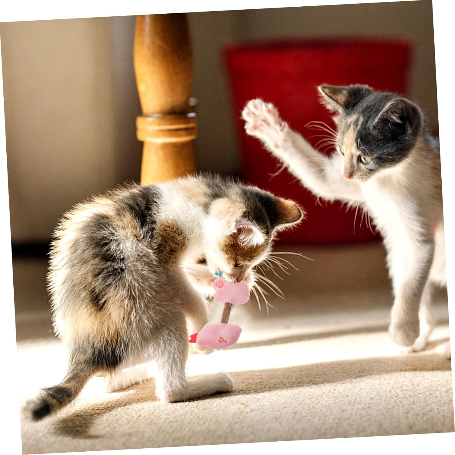 Cat Teeth Cleaning Toys