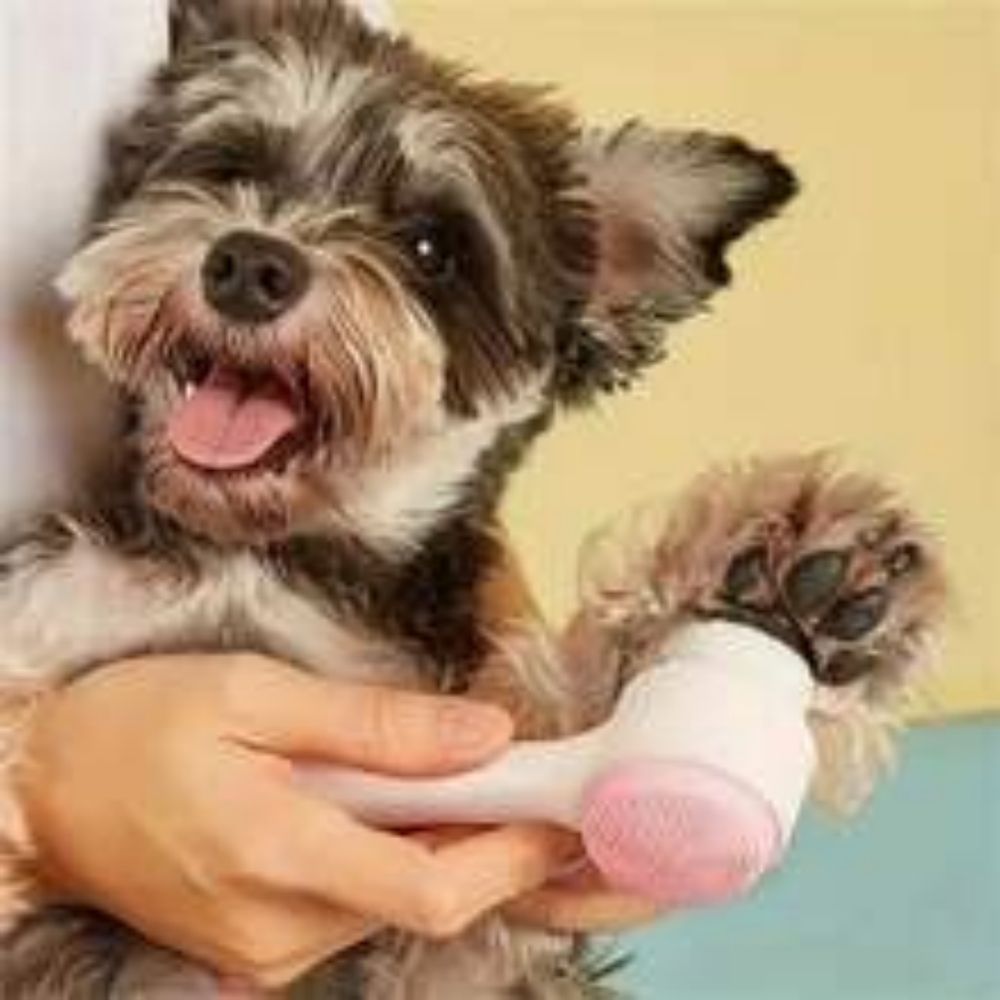 Nylon Pet Paw Brush Grooming Supplies