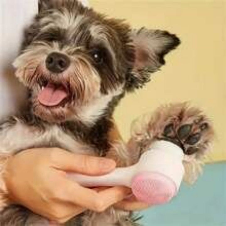 Nylon Pet Paw Brush Grooming Supplies