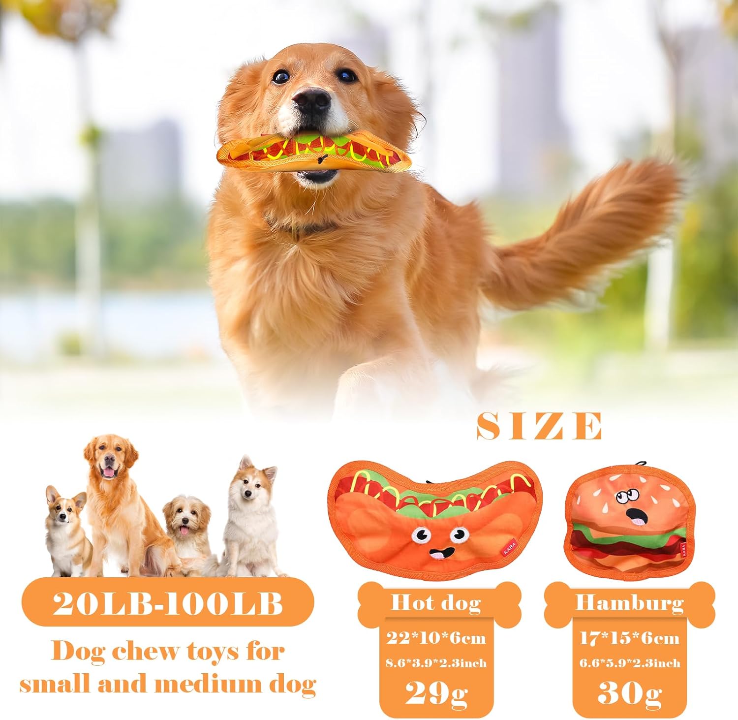 Crinkle Dog Squeaky Toys