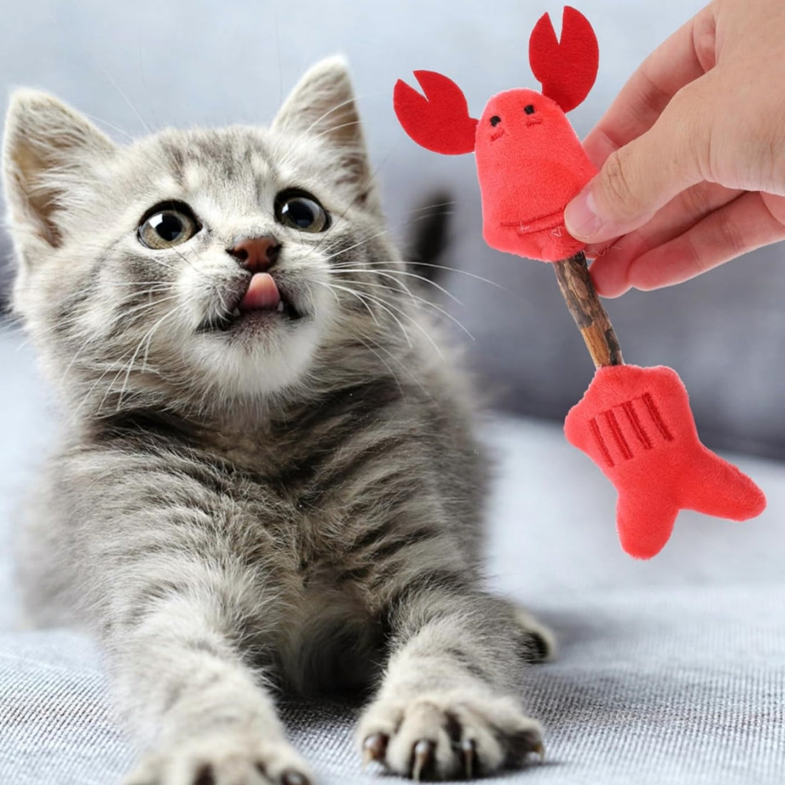 Cat Teeth Cleaning Toys