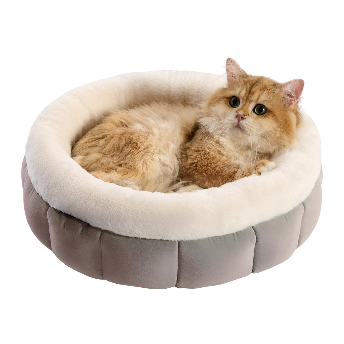 Donut Washable Pet Bed