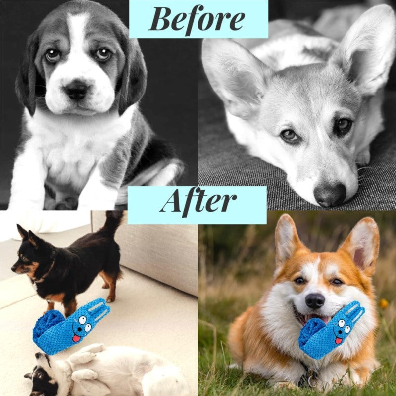 Squeaky Interactive Plush Dog Toys