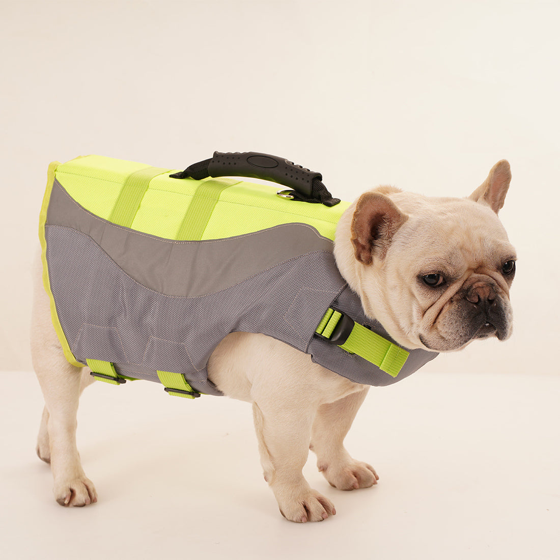 Reflective Pet Dog Swimsuit Life Jacket