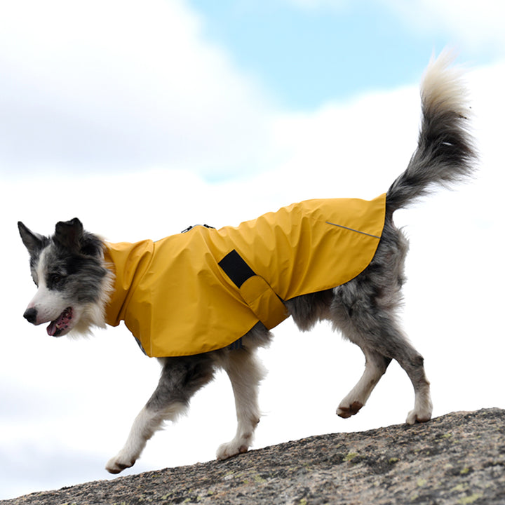 Pet Shell Waterproof Jacket